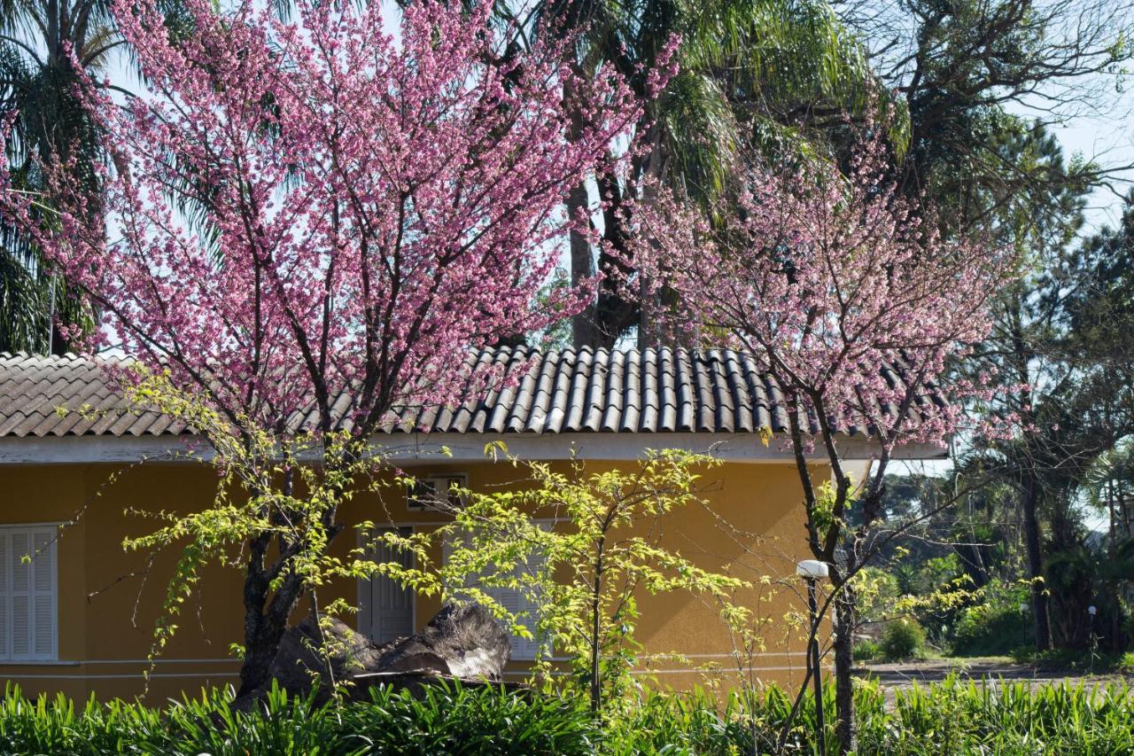 Voa Curitiba Park Hotel コロンボ エクステリア 写真